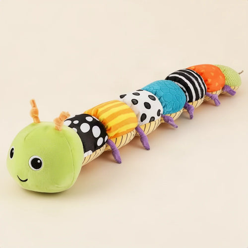 Animal Musical Montessori sur fond clair