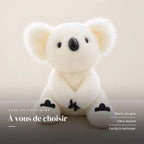 Peluche koala avec son bébé blanche sur fond crème, en studio. À vous de choisir : blanc ou gris, ultra douce, facile à nettoyer