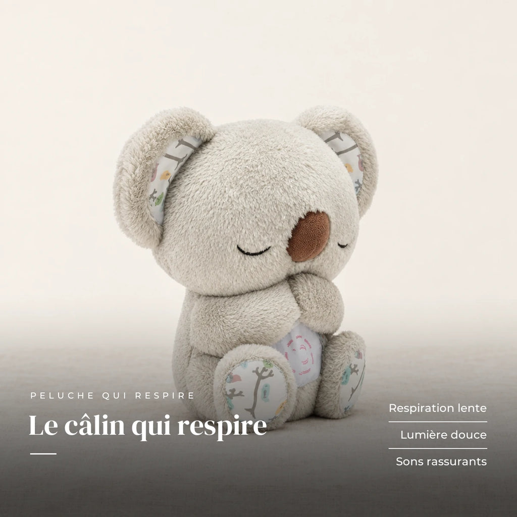 Peluche koala qui respire sur fond crème, en studio. Le câlin qui respire : respiration lente, lumière douce, sons rassurants