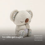 Peluche koala qui respire sur fond crème, en studio. Le câlin qui respire : respiration lente, lumière douce, sons rassurants