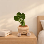 Peluche kawaii plante en pot rond modèle piléa posée sur une table de chevet en bois clair