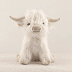 Peluche vache Highland à poils longs blanche sur fond crème, en studio