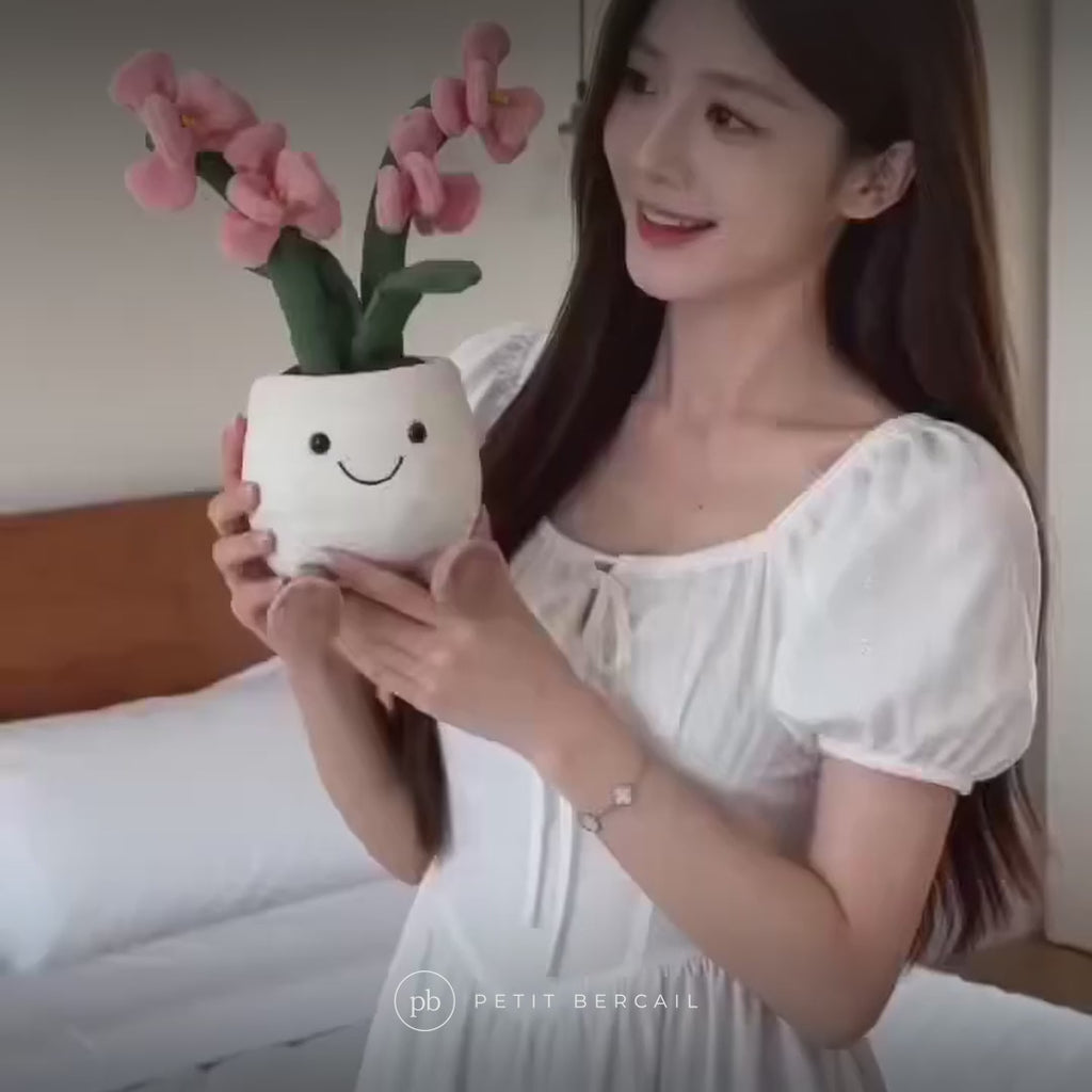 Peluche orchidée kawaii en vidéo : pot souriant, zéro arrosage
