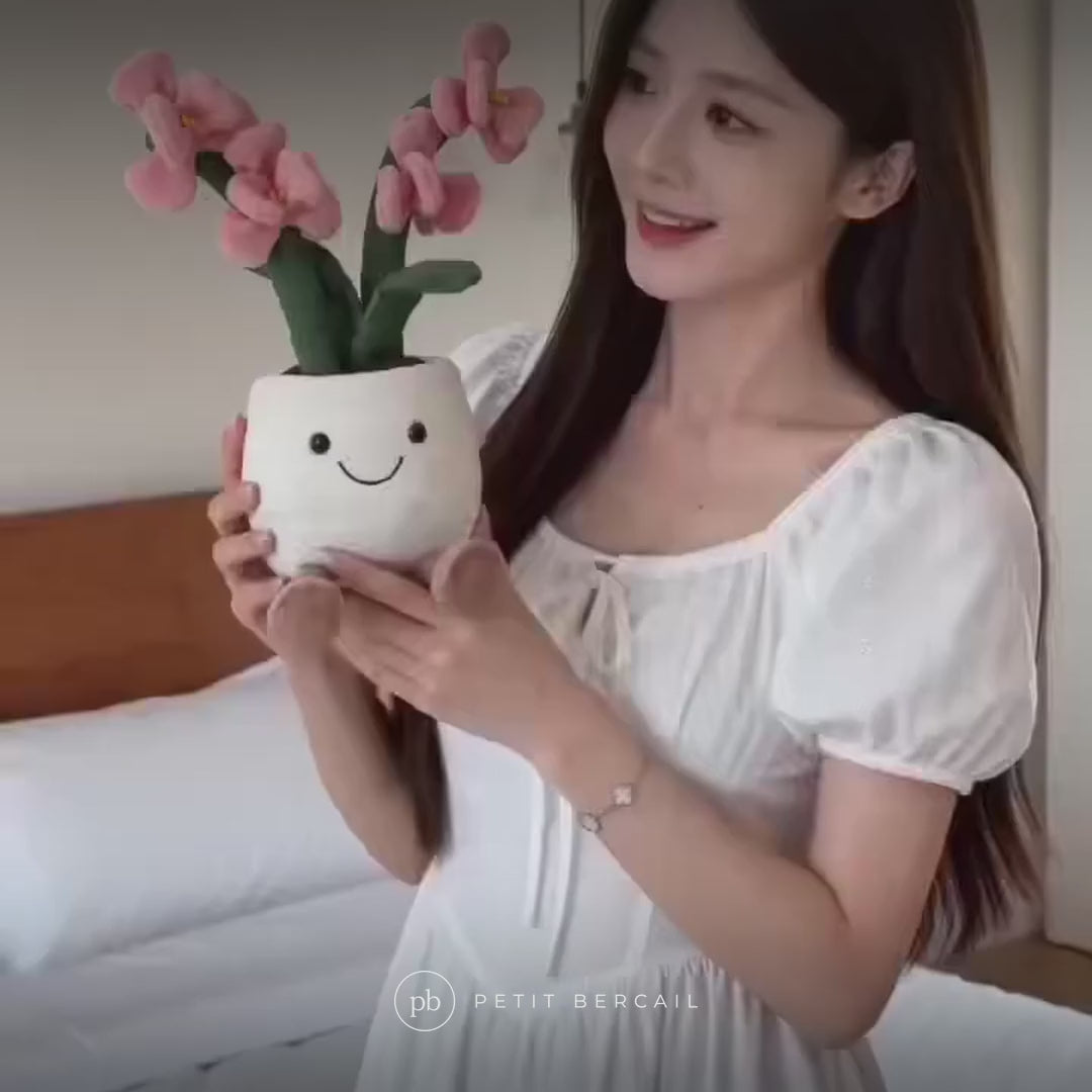 Peluche orchidée kawaii en vidéo : pot souriant, zéro arrosage