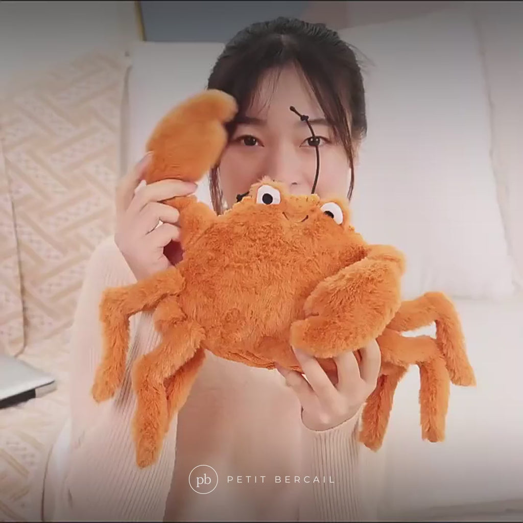 Peluche crabe orange en vidéo : pinces toutes douces