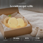 Veilleuse éléphant bébé tactile dans sa boîte cadeau, idée cadeau de naissance