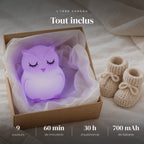 Veilleuse hibou bébé en silicone dans sa boîte cadeau, idée cadeau de naissance