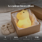 Veilleuse hippopotame avec télécommande dans sa boîte cadeau, idée cadeau de naissance